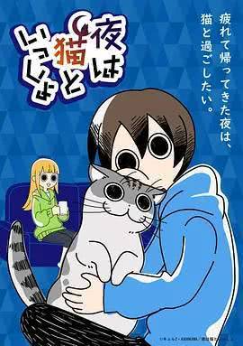 《关于养猫我一直是新手》免费在线观看.网盘资源下载.日语中字.(2022)_在线视频课程下载-51分享网