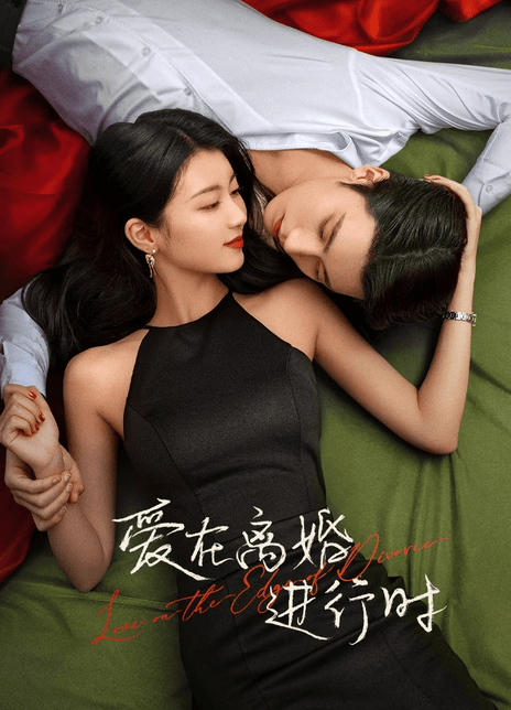 《爱在离婚进行时》免费在线观看.网盘资源下载.国语中字.(2025)_在线视频课程下载-51分享网