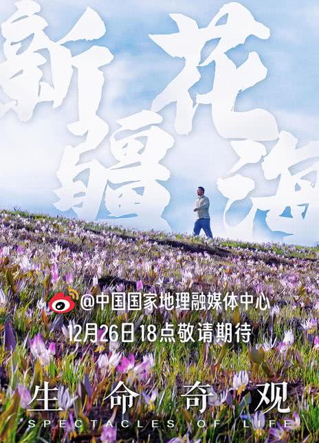 《生命奇观》免费在线观看.网盘资源下载.国语中字.(2024)_在线视频课程下载-51分享网
