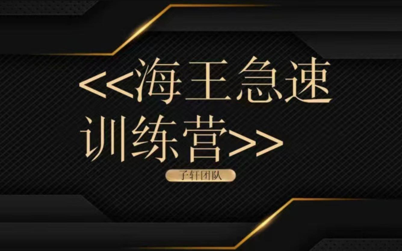 子轩团队《海王急速训练营》_在线视频课程下载-51分享网