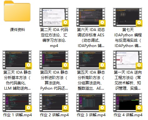 图片[2]_在线视频课程下载-7天打造IDA9.0 大师：从零基础到逆向精英（价值299元）_在线视频课程下载-51分享网