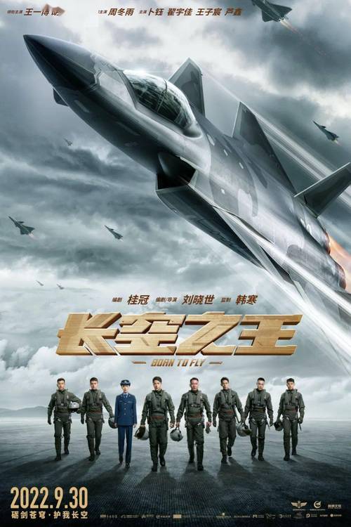 《长空之王》免费在线观看.网盘资源下载.国语中字.(2023)_在线视频课程下载-51分享网